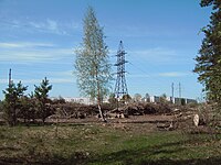 Ziepniekkalns forest