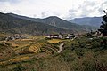 Punakha