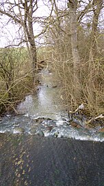 ... vue vers l'aval, même pont, même jour.