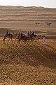 Image 14Tourists riding camels in the Wahiba Sands (from Tourism in Oman)