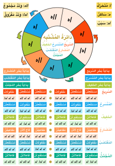 دائرة المشتبه