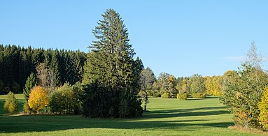 Hochfläche im Irrendorfer Hardt