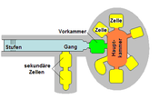 Schema Anghelu Ruju Tomba III