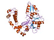 8icc: DNA POLYMERASE BETA (POL B) (E.C.2.7.7.7) COMPLEXED WITH SEVEN BASE PAIRS OF DNA (NO 5'-PHOSPHATE)