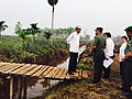 Presiden Jokowi meninjau pembangunan waduk di Rimbo Panjang, Rampau, Riau.