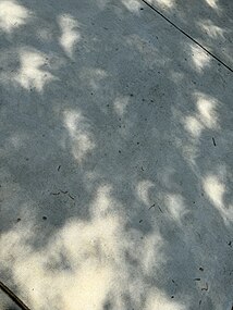 Natural pinholes as seen from Winder, Georgia