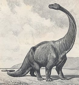 A Gigantosaurus Heinrich Harder által készített rekonstrukciója 1912-ből