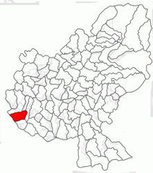 Location in Mureș County