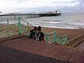 La plage et le Brighton Pier