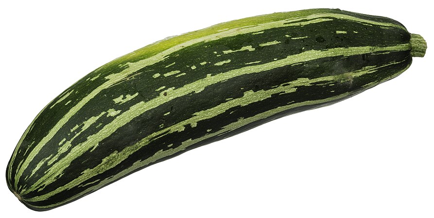 Striped zucchini