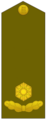 Major Estonia