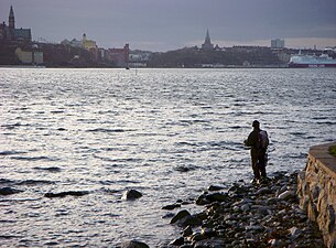 Laxfiske i Saltsjön från Södra Djurgården, i bakgrunden syns Södermalm