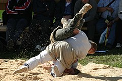 Lutteurs en action à la Rigi-Schwinget 2005.