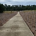 Paved concrete road leading to the baptismal pools