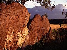 Cerro Duida.jpg