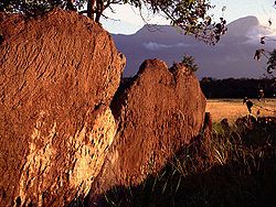 Cerro Duida in La Esmeralda area