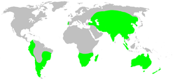 Distribución de la Familia