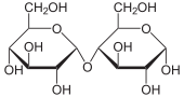 Maltose