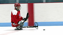 Un joueur de para-hockey sur glace maniant le palet.