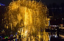 Tivoli Gardens lake tree