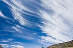 Cirrus clouds mar08