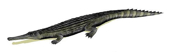 Dyrosaurus