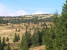 De Zadní planina