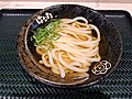 夏季限定メニューの冷かけうどんの小