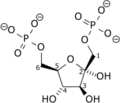 D-fructoso-1,6-bis-phosphatum