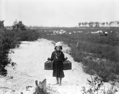 Child laborer (1910) at Child labor, by Lewis Wickes Hine