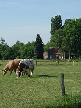 Halverwege de Looiseweg, westelijk van de Siebengewaldseweg