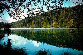 Frillensee in de zomer (2012)