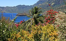 Photo montrant un paysage de Hiva Oa, très fleuri et coloré, avec la mer au second plan.