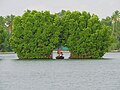 Tourism in Munroe Island.