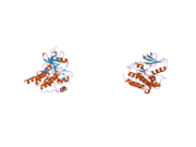 2g2f: A Src-like Inactive Conformation in the Abl Tyrosine Kinase Domain