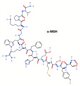 Estructura 2D (α-MSH)