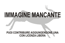 Immagine di Tethytragus mancante