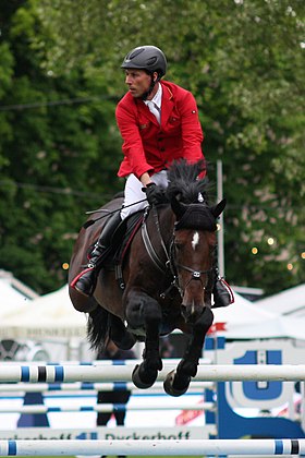 Magnus Romeo monté par Hans-Dieter Dreher au CSI5* de Wiesbaden