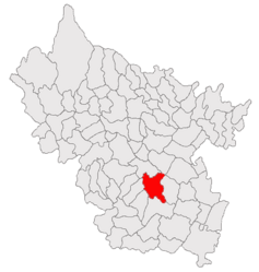 Location in Buzău County