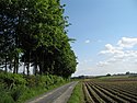 La campagne, avec les pentes de la colline du Tiegemberg à droite.