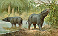 Moeritherium lyonsi Um proboscídeo primitivo Altura: 60 cm