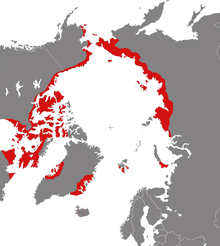 Hekkeområdet for polarsymjesnipa