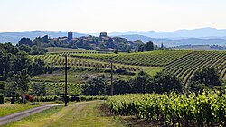 Skyline of Routier