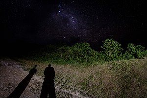 Vista nocturna