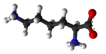 ▵ Molecuulmodel van L-lysine