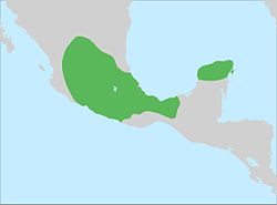 Approximate influence of the Toltecs in 950