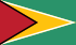 Guyana - Flagga