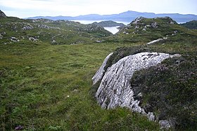 Du gneiss affleurant à South Rona.