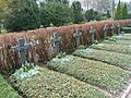 Kriegsgräber von 1945 auf dem Travemünder Friedhof St. Lorenz