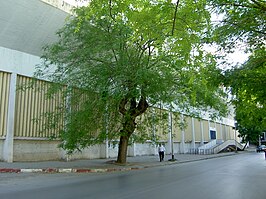 Stade Chedli Zouiten